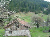 Pascolo di montagna con due edifici