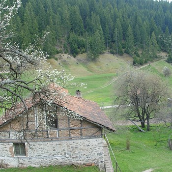 Pascolo di montagna con dui case vicino Bansko