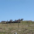 Terreno in vendita vicino al fiume