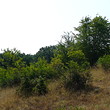 Terra agricola verso il mare nero