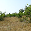 Terra agricola verso il mare nero