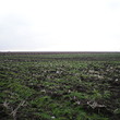 Terreno agricolo di terreni in vendita vicino a Pmorie