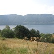 appezzamento di terreno agricolo in vendita vicino a Dospat