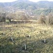 Terreno agricolo di terreni in vendita vicino a Kyustendil