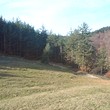 Forest in vendita vicino a Velingrad