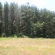 Forest in vendita vicino a Velingrad
