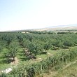 Fattoria di frutta azienda agricola in vendita vicino a Shumen