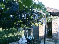 Casa con vigneto in vendita in Lom
