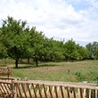 Fiume del Danubio di Nizza House vicino a