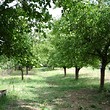 Fiume del Danubio di Nizza House vicino a