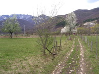 Terreni edificabili in Berkovitsa