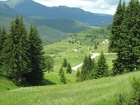 Terreni edificabili in Pamporovo