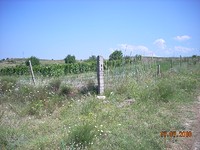 Terra regolamentata in Sandanski