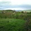 Casa rurale quasi una foresta