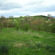 Casa rurale quasi una foresta