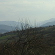 Casa rurale quasi una foresta