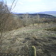 Casa rurale quasi una foresta