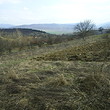 Casa rurale quasi una foresta