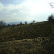 Casa rurale quasi una foresta