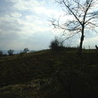 Casa rurale quasi una foresta