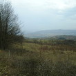 Casa rurale quasi una foresta