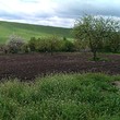 Proprietà rurale in vendita vicino a Byala Slatina