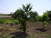Terra regolamentata in Bourgas