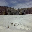 Appartamenti in Pamporovo