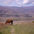 Offerta calda per costruendo la trama vicino Sandanski