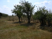 Trama conveniente di terra in Bulgaria