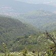 Foresta in vendita vicino a Veliko Tarnovo