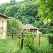 Casa accanto ad una foresta