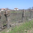 Sbarchi in vendita