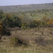 Terreno agricolo in vendita vicino Bolyarovo