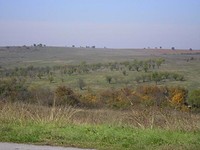 Terreno agricolo in Bolyarovo