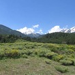 Trama tra la natura bella a Bansko !!!