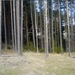 Trama nella montagna