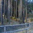 Trama nella montagna