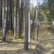 Trama nella montagna