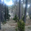 Trama nella montagna