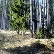 Trama nella montagna