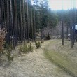 Trama nella montagna