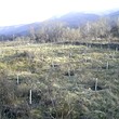 Terreno agricolo di terreni in vendita vicino a Kyustendil