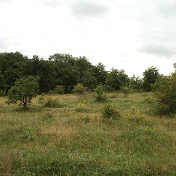 Terreno agricolo in Burgas