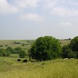 Terreno agricolo di terreni in vendita vicino a Varna