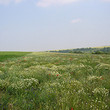 Terreno agricolo di terreni in vendita vicino a Varna
