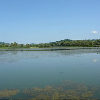 Terreno agricolo in Sofia