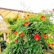 Splendida casa nuova con piscina vicino al mare