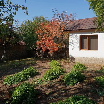 Case in Sapareva Banya