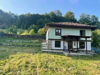 Case in Elena